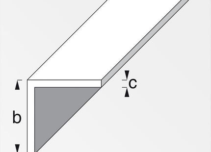 ALFER ANGOLARE LATI UGUALI ALLUMINIO ANODIZZATO EFFETTO INOX MT.1