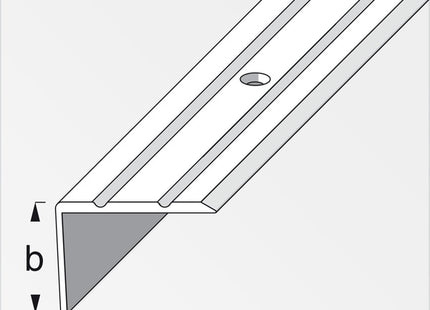 ALFER PROFILO PER SCALE ALLUMINIO ANODIZZATO OTTONE MM25X20 MT1