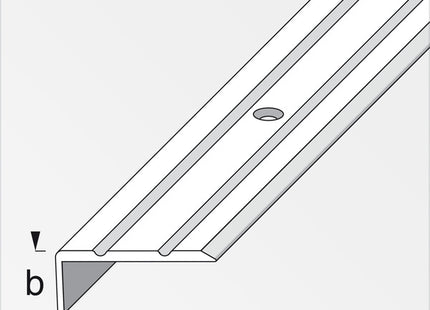 ALFER PROFILO DI CHIUSURA ALLUMINIO OTTONE CON FORI MM25X10 MT2