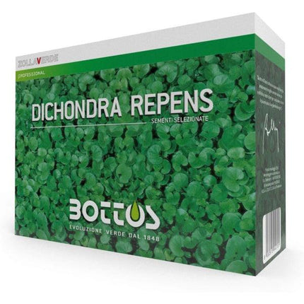 bottos 021000314 OK.jpg
