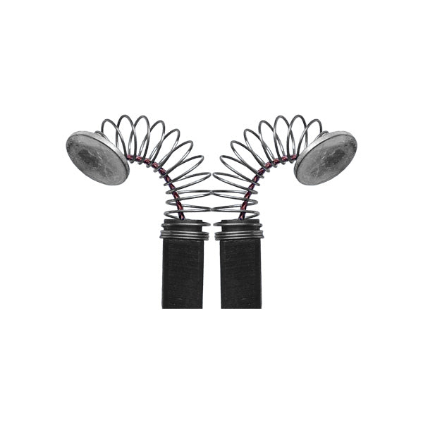 ASEIN CARBONCINI/SPAZZOLE PER MILWAUKEE REF.0372