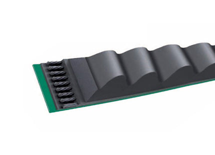 CINGHIA DENTATA SPBX
