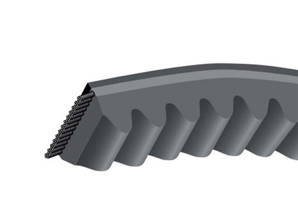 CINGHIA DENTATA BX  48 SEZIONE MM16,3X11 SVILUPPO INTERNO MM 1220