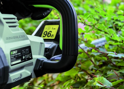 EGO KIT TAGLIASIEPI HT2411E DA CM61 56V CON BATTERIA E CARICABATTERIE