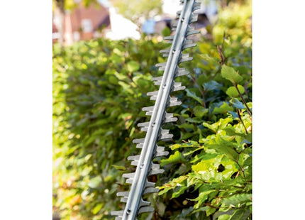 EGO KIT TAGLIASIEPI HT2411E DA CM61 56V CON BATTERIA E CARICABATTERIE