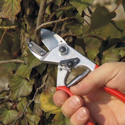 felco 31 (2).jpg
