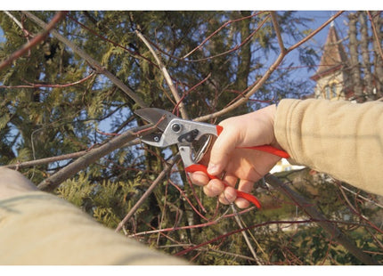 FELCO FORBICE PER POTATURA MOD. F 31 DA MM210 + BERRETTO