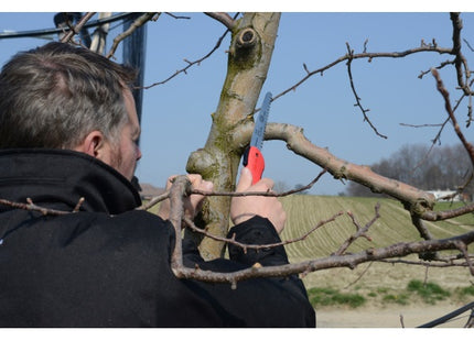 FELCO SEGHETTO A SERRAMANICO PIEGHEVOLE PER RAMI MOD. F600*