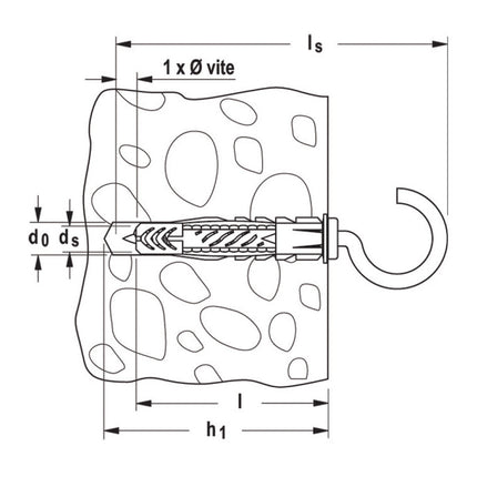 fischer 71554 (1).jpg