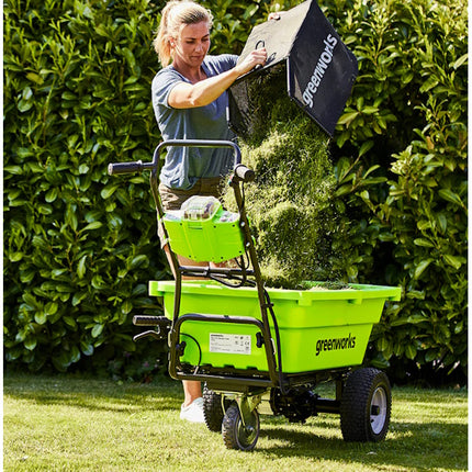 GREENWORKS CARRIOLA G40GCK22 40V CON 1 BATTERIA DA 4AH E CARICABATTERIE