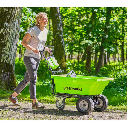 GREENWORKS CARRIOLA G40GCK22 40V CON 1 BATTERIA DA 4AH E CARICABATTERIE