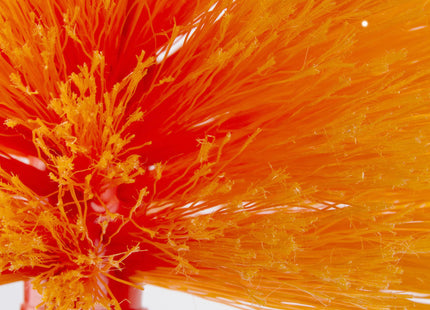 LA BRIANTINA LEVARAGNATELE FIOCCO SENZA MANICO