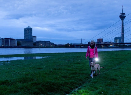 LED LENSER TORCIA LED A BATTERIA DA DIFESA MOD. P17*