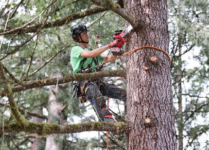 MILWAUKEE MOTOSEGA A BATTERIA M18 FHS20-552 BARRA DA CM20 (V1/23)