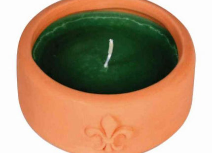 CFG CANDELA SALVIA E ROSMARINO IN VASO DI COTTO