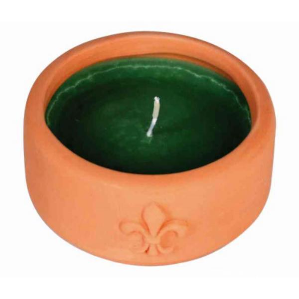 CFG CANDELA SALVIA E ROSMARINO IN VASO DI COTTO