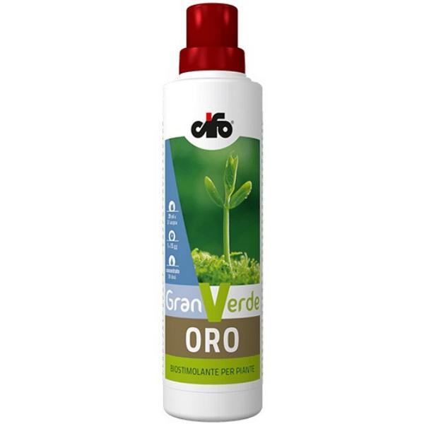 mini_cifo 110890.jpg
