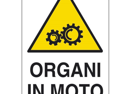 SEGNALE ORGANI IN MOTO ADESIVO MM 60X 40