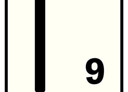 RAPID SPILLI SENZA TESTA N.9/15 BLISTER DA PZ1000