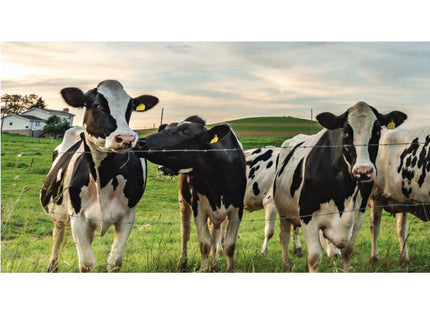 CAVATORTA FILO SPINATO RICCIO ACCIAIO PLASTIFICATO VERDE MT100